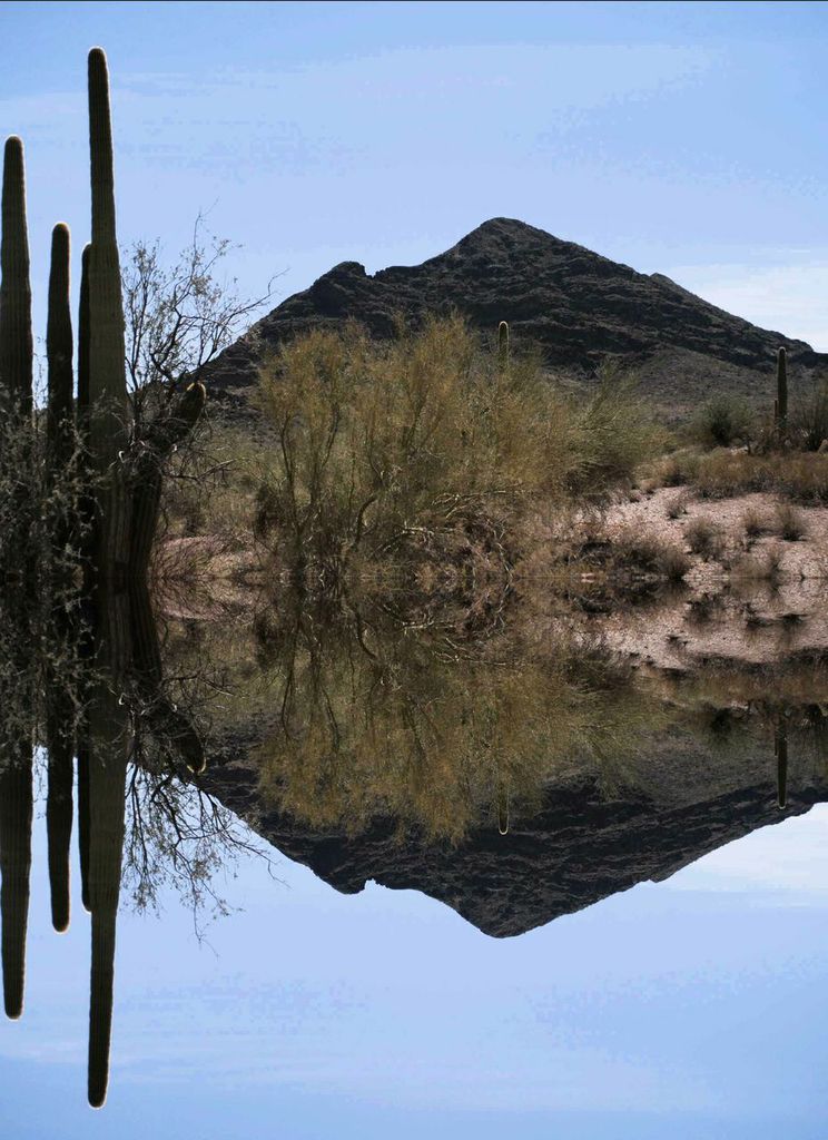 Desert Patterns, Jim Cook